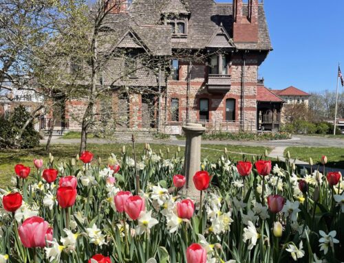 Stowe Center Awarded an Urban Action Grant