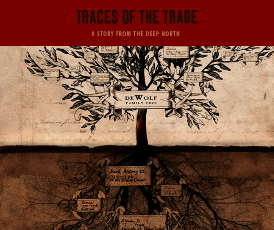 drawing of family tree with The Slave Trade demarcated among the roots of the tree