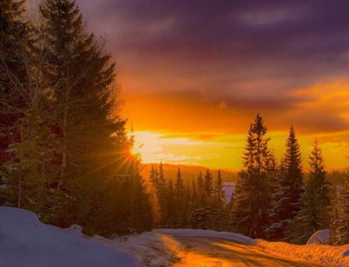 Honor the Darkness and Reach for the Light