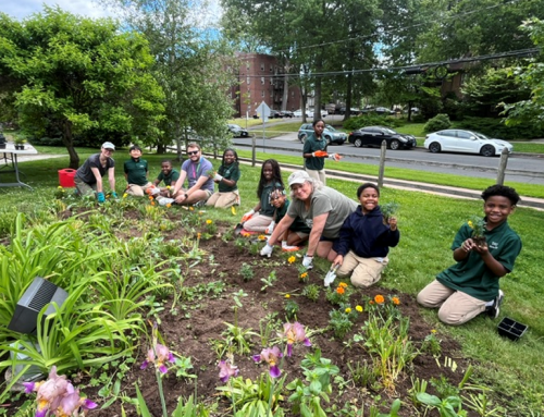Building Neighborhood Ties with Harriet’s Backyard
